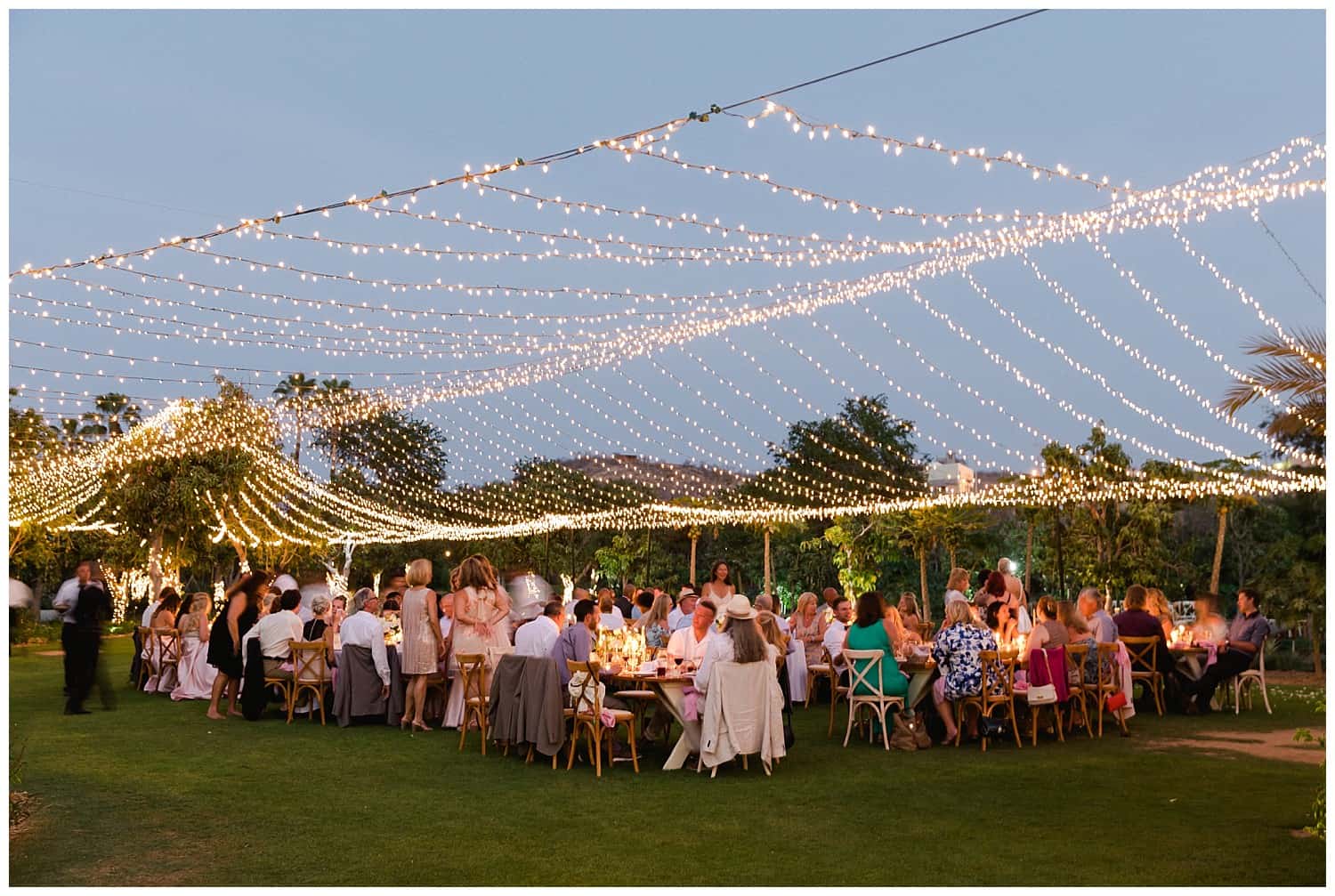Cabo_Flora_Farms_Wedding_Sara_Richardson
